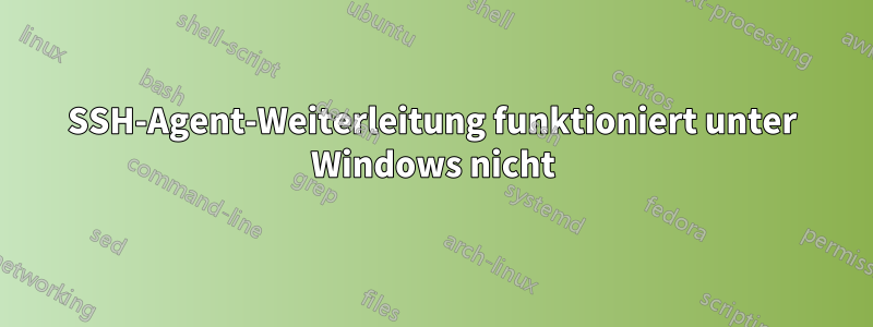 SSH-Agent-Weiterleitung funktioniert unter Windows nicht