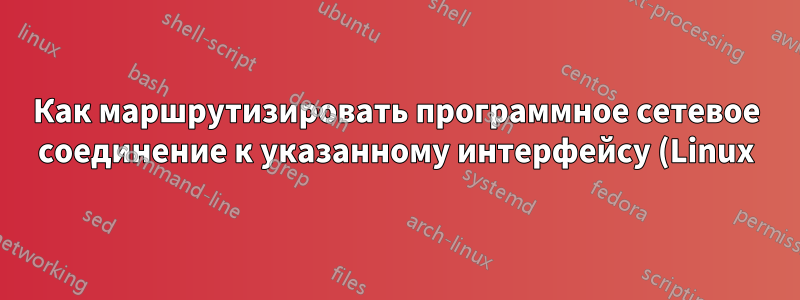 Как маршрутизировать программное сетевое соединение к указанному интерфейсу (Linux)