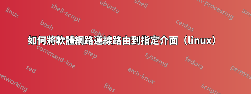 如何將軟體網路連線路由到指定介面（linux）