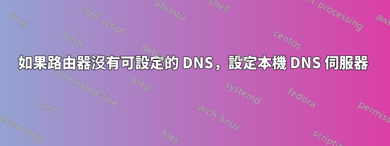 如果路由器沒有可設定的 DNS，設定本機 DNS 伺服器