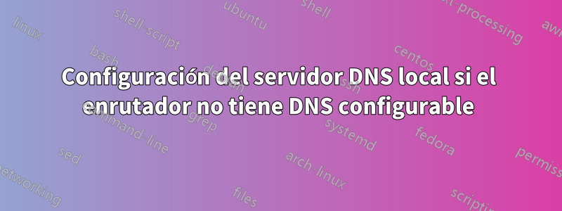 Configuración del servidor DNS local si el enrutador no tiene DNS configurable