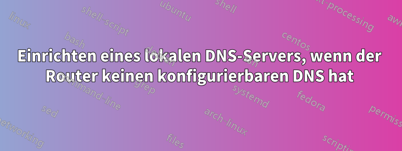 Einrichten eines lokalen DNS-Servers, wenn der Router keinen konfigurierbaren DNS hat