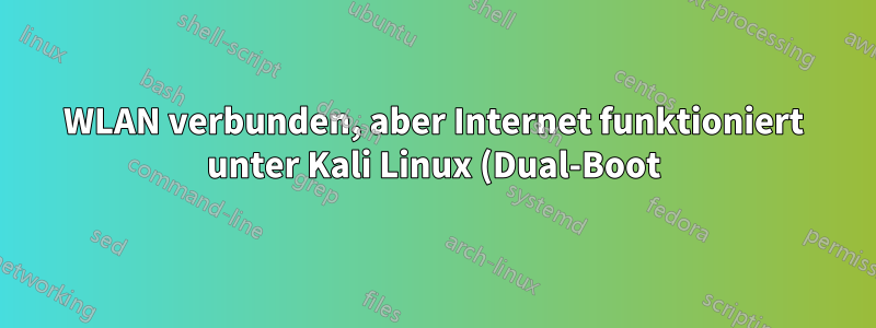 WLAN verbunden, aber Internet funktioniert unter Kali Linux (Dual-Boot) nicht