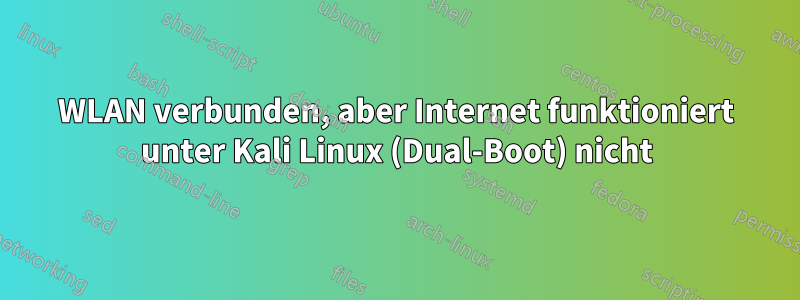 WLAN verbunden, aber Internet funktioniert unter Kali Linux (Dual-Boot) nicht