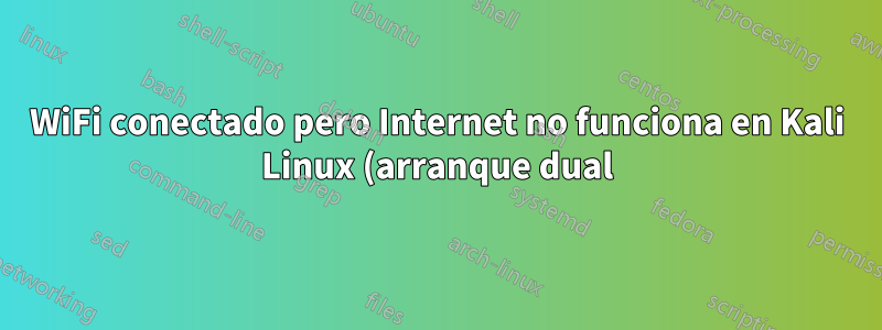 WiFi conectado pero Internet no funciona en Kali Linux (arranque dual)