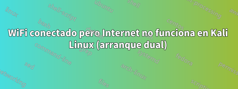 WiFi conectado pero Internet no funciona en Kali Linux (arranque dual)