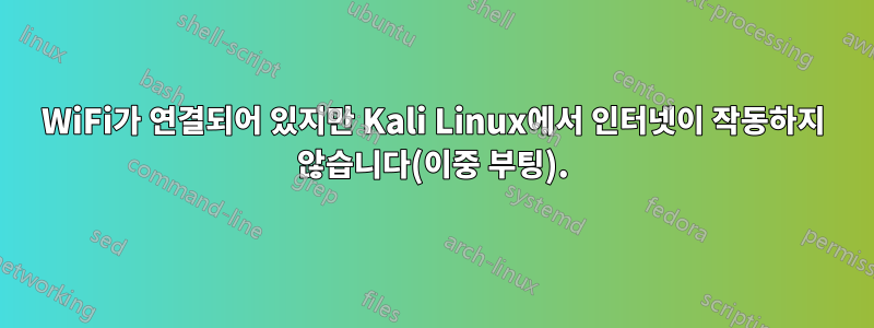 WiFi가 연결되어 있지만 Kali Linux에서 인터넷이 작동하지 않습니다(이중 부팅).
