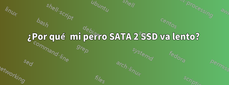 ¿Por qué mi perro SATA 2 SSD va lento?