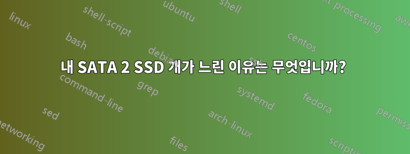 내 SATA 2 SSD 개가 느린 이유는 무엇입니까?