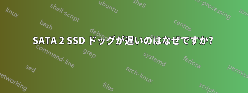 SATA 2 SSD ドッグが遅いのはなぜですか?