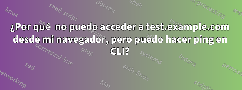 ¿Por qué no puedo acceder a test.example.com desde mi navegador, pero puedo hacer ping en CLI?