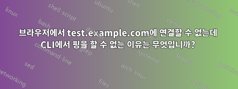 브라우저에서 test.example.com에 연결할 수 없는데 CLI에서 핑을 할 수 없는 이유는 무엇입니까?