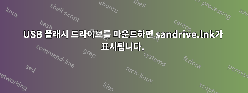 USB 플래시 드라이브를 마운트하면 sandrive.lnk가 표시됩니다.