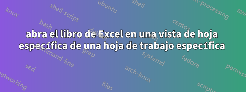 abra el libro de Excel en una vista de hoja específica de una hoja de trabajo específica