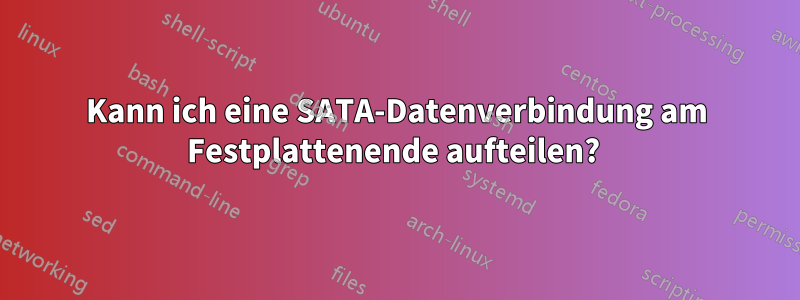 Kann ich eine SATA-Datenverbindung am Festplattenende aufteilen? 