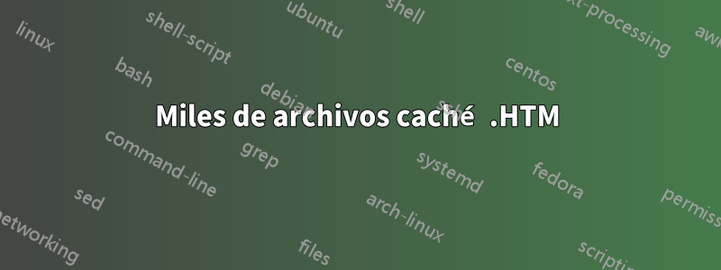 Miles de archivos caché .HTM