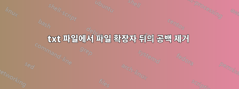 txt 파일에서 파일 확장자 뒤의 공백 제거