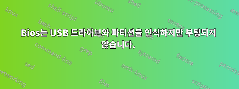 Bios는 USB 드라이브와 파티션을 인식하지만 부팅되지 않습니다.