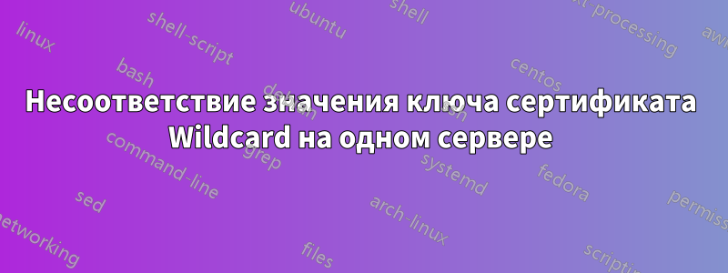 Несоответствие значения ключа сертификата Wildcard на одном сервере