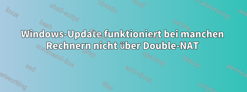 Windows-Update funktioniert bei manchen Rechnern nicht über Double-NAT