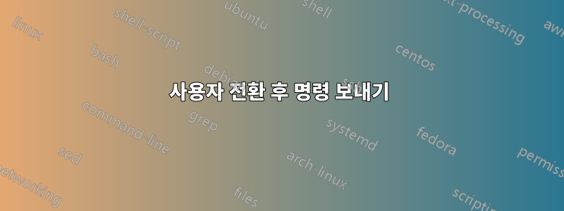 사용자 전환 후 명령 보내기