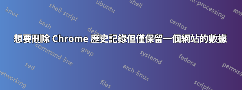 想要刪除 Chrome 歷史記錄但僅保留一個網站的數據