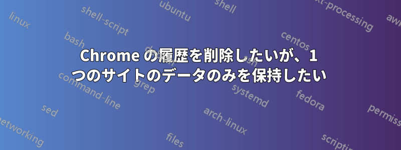 Chrome の履歴を削除したいが、1 つのサイトのデータのみを保持したい