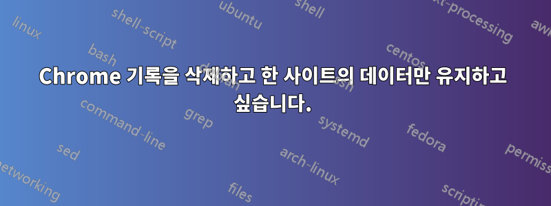 Chrome 기록을 삭제하고 한 사이트의 데이터만 유지하고 싶습니다.