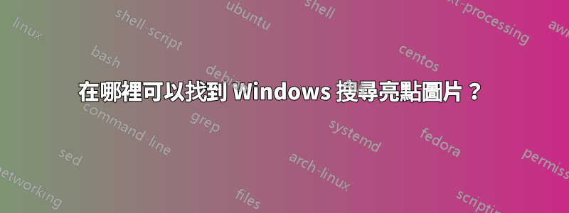 在哪裡可以找到 Windows 搜尋亮點圖片？