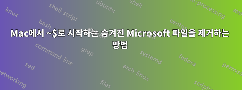 Mac에서 ~$로 시작하는 숨겨진 Microsoft 파일을 제거하는 방법