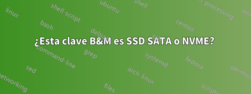 ¿Esta clave B&M es SSD SATA o NVME?