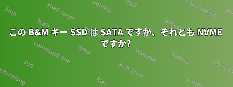 この B&M キー SSD は SATA ですか、それとも NVME ですか?