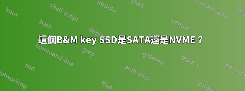 這個B&M key SSD是SATA還是NVME？