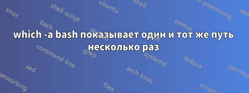 which -a bash показывает один и тот же путь несколько раз