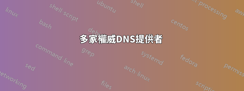 多家權威DNS提供者