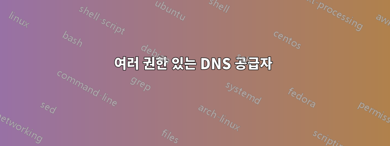 여러 권한 있는 DNS 공급자