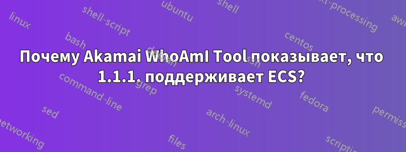 Почему Akamai WhoAmI Tool показывает, что 1.1.1. поддерживает ECS?