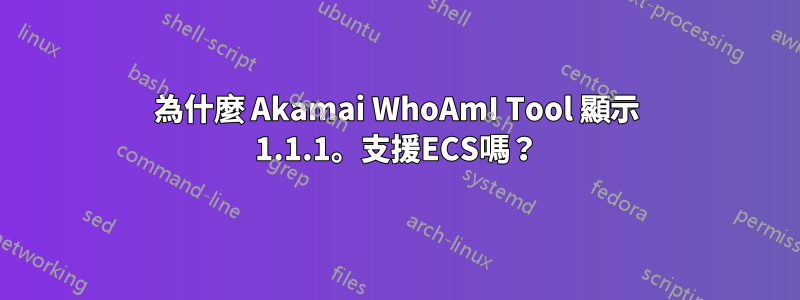 為什麼 Akamai WhoAmI Tool 顯示 1.1.1。支援ECS嗎？