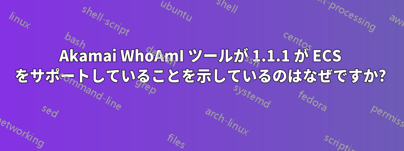 Akamai WhoAmI ツールが 1.1.1 が ECS をサポートしていることを示しているのはなぜですか?