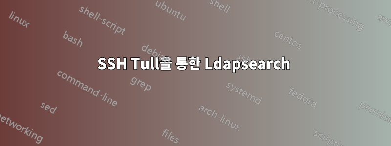 SSH Tull을 통한 Ldapsearch