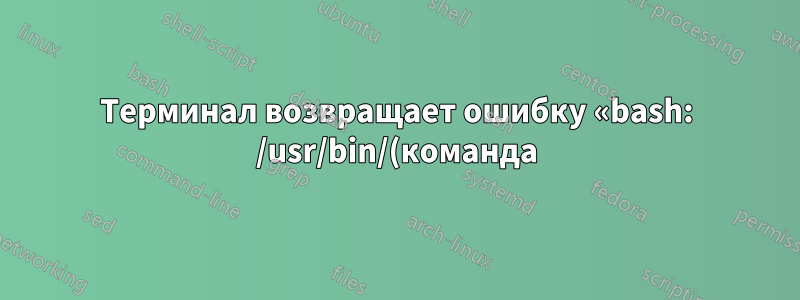 Терминал возвращает ошибку «bash: /usr/bin/(команда) /bin/bash: плохой интерпретатор: нет такого файла или каталога», если перед командой не стоит bash