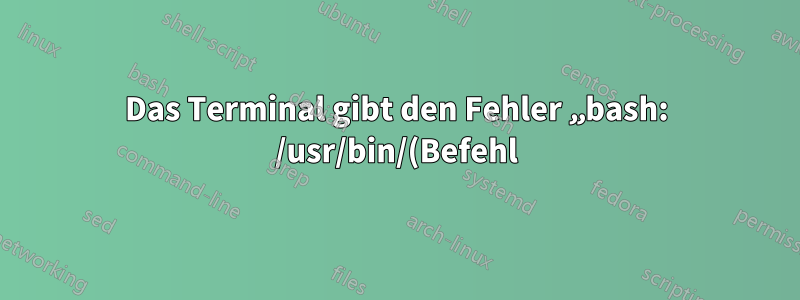 Das Terminal gibt den Fehler „bash: /usr/bin/(Befehl) /bin/bash: fehlerhafter Interpreter: Keine solche Datei oder kein solches Verzeichnis“ zurück, sofern dem Befehl nicht „bash“ vorangestellt ist.