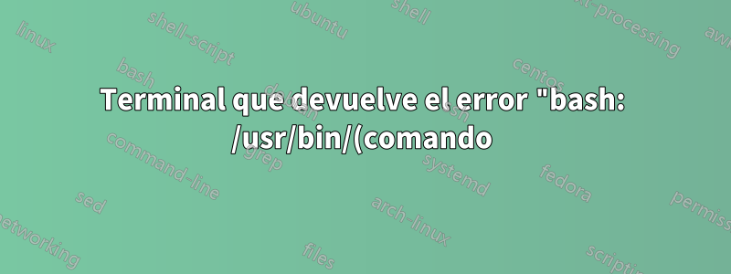 Terminal que devuelve el error "bash: /usr/bin/(comando) /bin/bash: intérprete incorrecto: no existe tal archivo o directorio" a menos que el comando esté precedido por bash