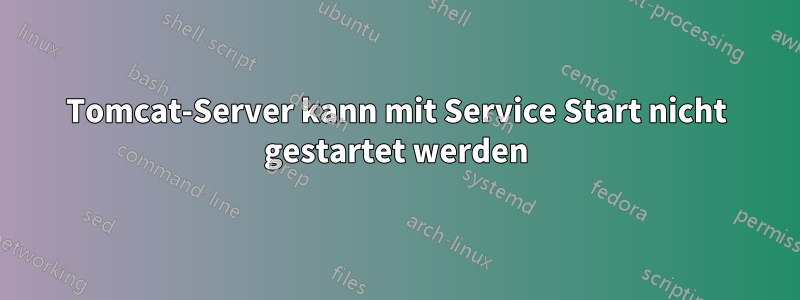 Tomcat-Server kann mit Service Start nicht gestartet werden