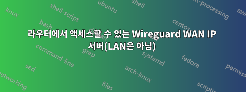 라우터에서 액세스할 수 있는 Wireguard WAN IP 서버(LAN은 아님)