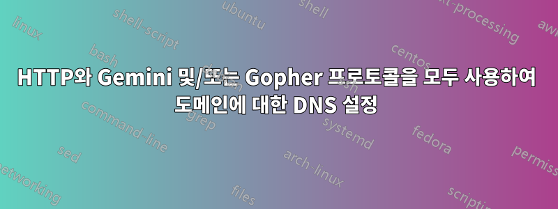 HTTP와 Gemini 및/또는 Gopher 프로토콜을 모두 사용하여 도메인에 대한 DNS 설정