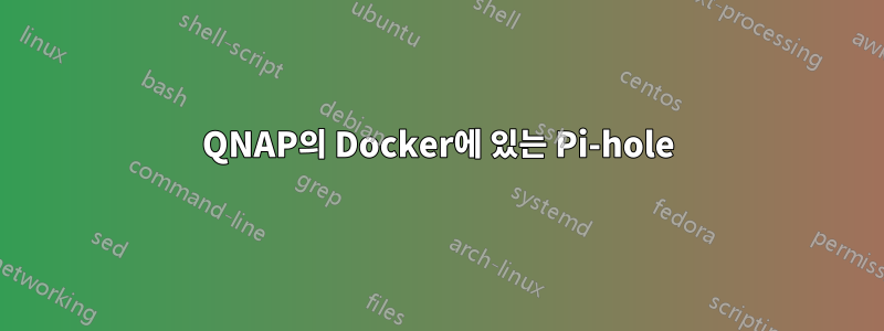 QNAP의 Docker에 있는 Pi-hole