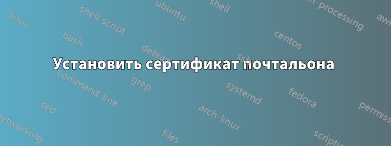 Установить сертификат почтальона