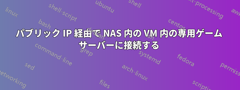 パブリック IP 経由で NAS 内の VM 内の専用ゲーム サーバーに接続する