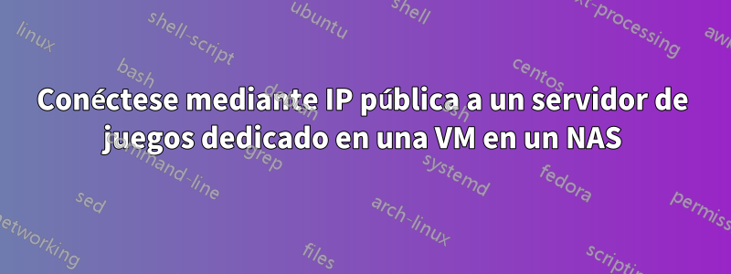 Conéctese mediante IP pública a un servidor de juegos dedicado en una VM en un NAS